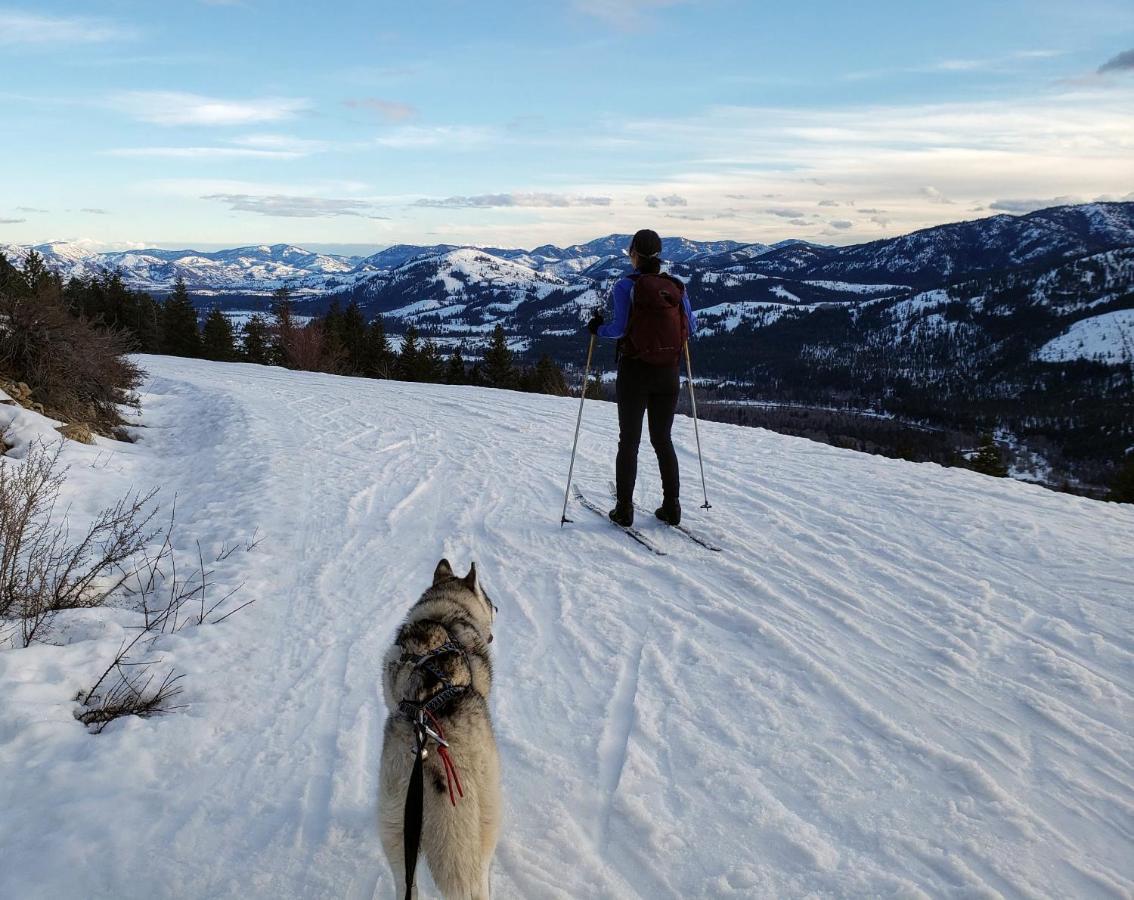 An Unexpected Twisp Eksteriør bilde